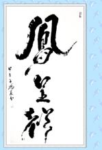 鷨